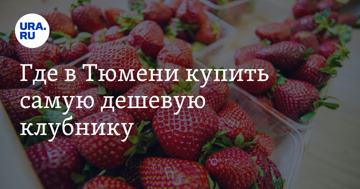 Где в Тюмени купить самую дешевую клубнику. Инфографика