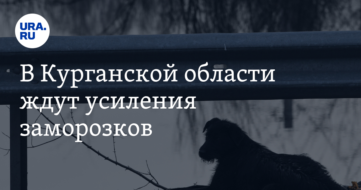 Погода в Кургане: заморозки усилятся