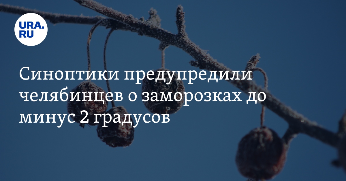 Синоптики предупредили челябинцев о заморозках до минус 2 градусов ...