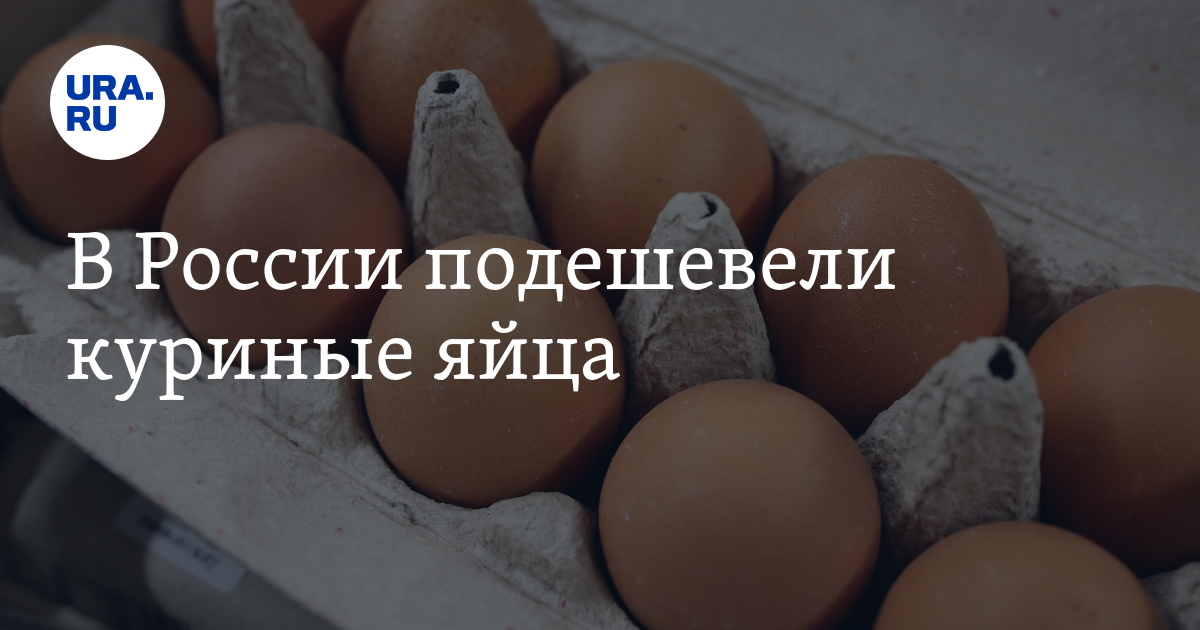 Цены на куриные яйца в России снизились на 1,1%