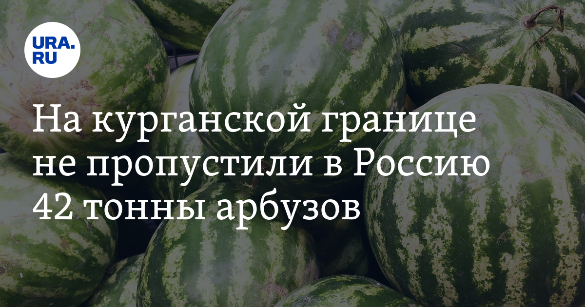Десятки Тонн Арбузов Не Пропустили В Россию На Курганской Границе: Фото