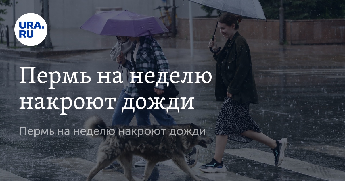 Погода в Перми: дожди продлятся еще неделю