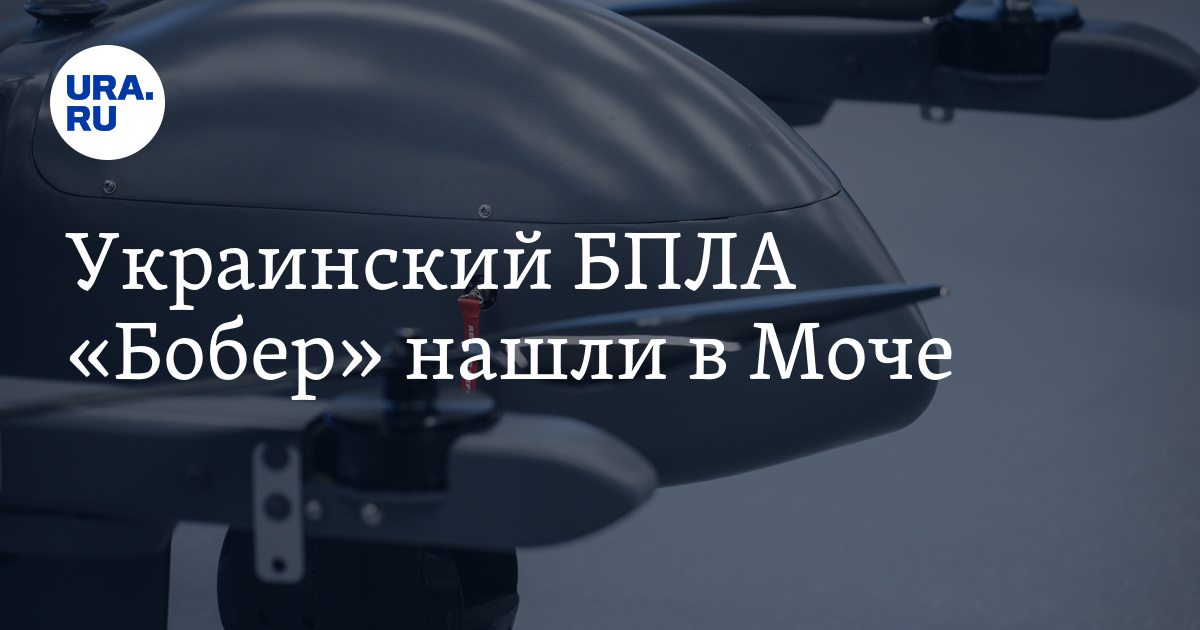 Бпла типа бобер. "бобер" ударный бпла. Дрон камикадзе характеристики. Бпла-камикадзе "harop". Бпла которые долетели до москвы.