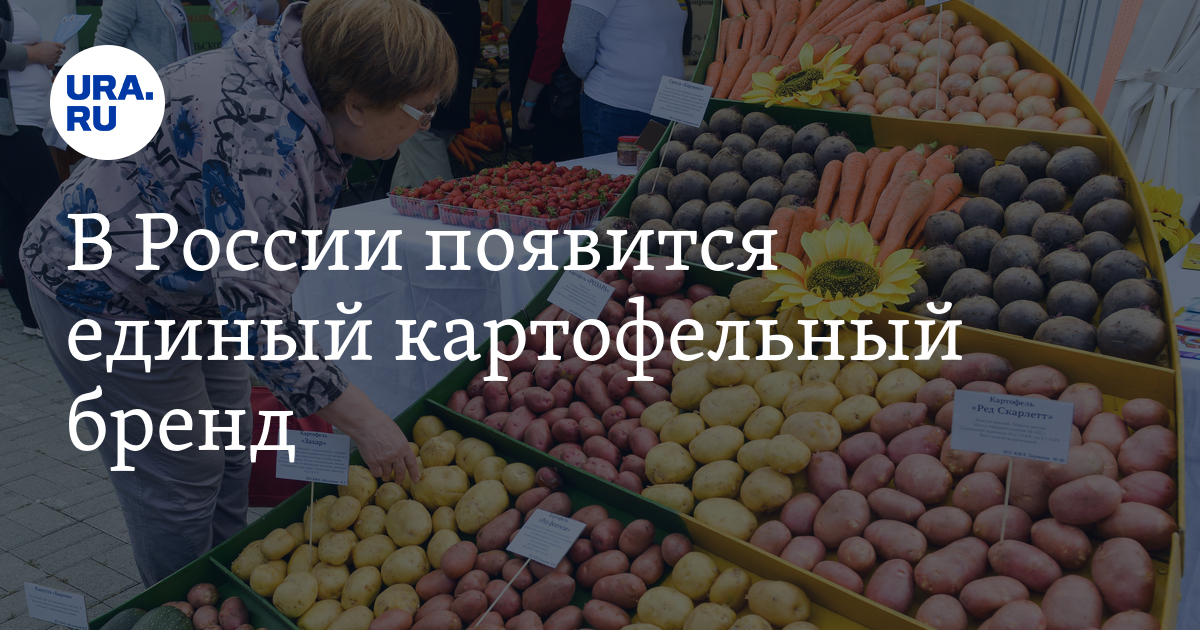 В России появится единый картофельный бренд