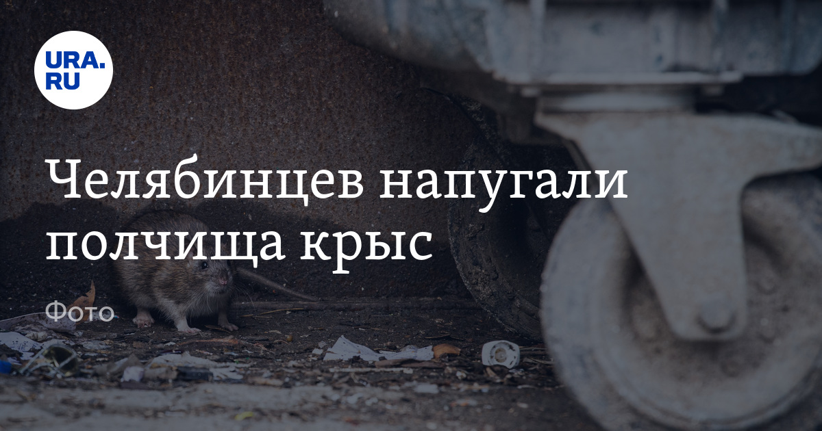 Волонтеры из Златоуста закупили на СВО антидроновые системы: видео