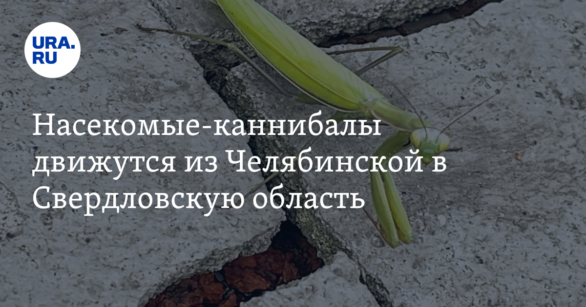ВЫЗОВ - Национальная премия в области будущих технологий ВЫЗОВ - Национальная премия в области будущих технологий
