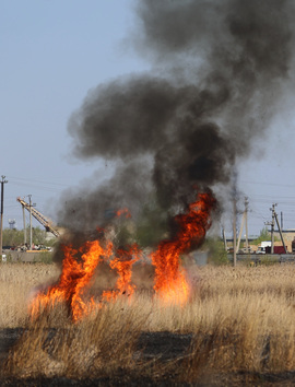 Пожары-2024 в Курганской области