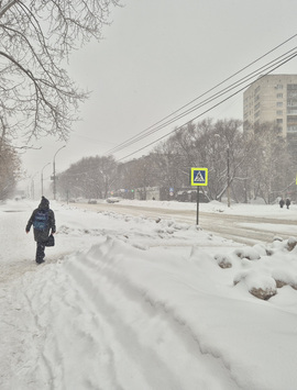 Снежный коллапс в Перми