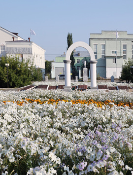 День города Шадринска — 2025