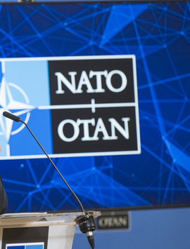 Швеция и Финляндия подали заявку на вступление в НАТО