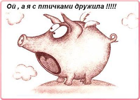 Оптимизм россиян не знает границ! Новые забавные картинки о «свином гриппе». Больше всех по-прежнему достается Пяточку 