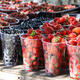 Как сажать черную смородину весной: правила ухода за ягодой