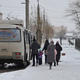 Екатеринбуржцы массово просят мэра оставить популярный автобусный маршрут. Фото