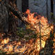 В ЯНАО площадь природных пожаров увеличилась более чем в десять раз