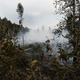 Российский спутник «Метеор» будет следить за пожарной безопасностью лесов
